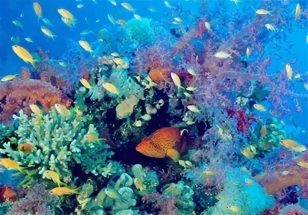 Biodiversity of aquatic environment